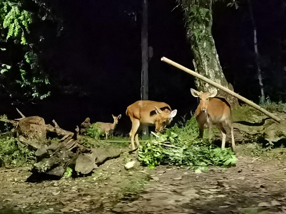 0ab3e84b30af49c8bd396a9b34640563.png 0ab3e84b30af49c8bd396a9b34640563.png