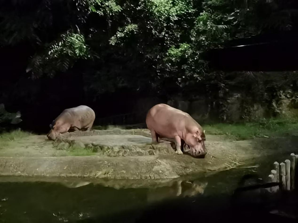 0c1e26c6e9b648468a7f0d5bb3bc9015.png 0c1e26c6e9b648468a7f0d5bb3bc9015.png