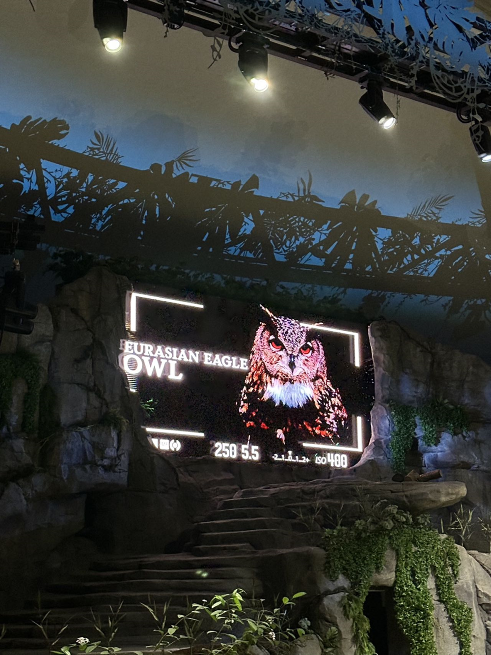 536abdd7100f45788344c701416b91db.png 536abdd7100f45788344c701416b91db.png