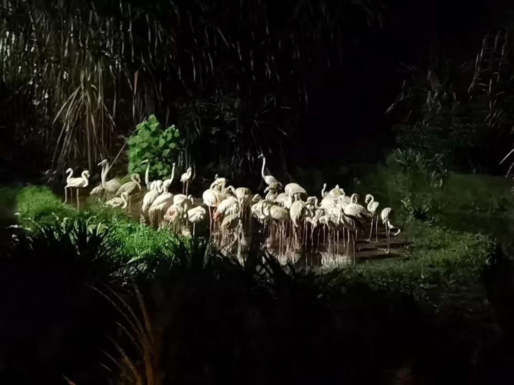 dc819480353f4c548ae12e0d2ee63d8b.png dc819480353f4c548ae12e0d2ee63d8b.png