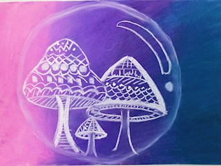 2019年度优秀作品